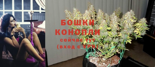 каннабис Белокуриха