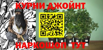 дурь Гусиноозёрск
