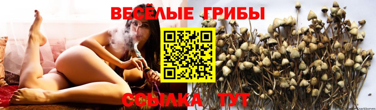 Псилоцибиновые грибы GOLDEN TEACHER  Вход с VPN  Псилоцибиновые грибы мицелий  Надым 